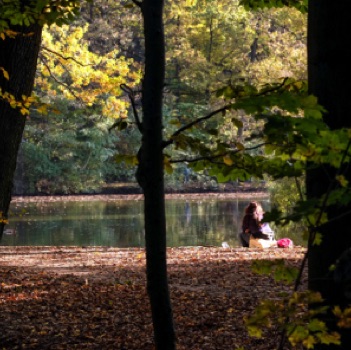 Herbststimmung im Stadtwald Herbststimmung im Stadtwald
